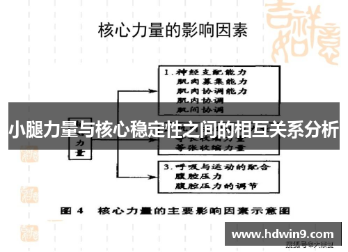 小腿力量与核心稳定性之间的相互关系分析